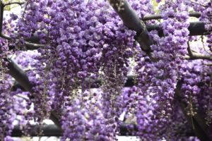 another button test.